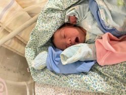 -上海市长宁区妇幼保健院
