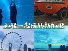 -鱼尾狮公园