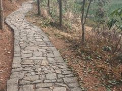 -四明山国家森林公园