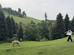 -新疆那拉提国家旅游度假区