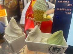 -野人先生现做冰淇淋(西安赛格店)