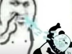 -上海新纪元双语学校
