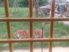 -上海野生动物园