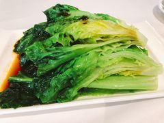 白灼生菜-粤式早茶希朋喜宴
