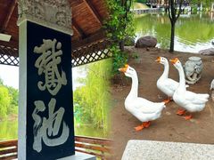 -中国翰园碑林