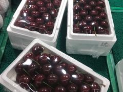 -麦德龙(郑东店)