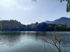 -杭州半山国家森林公园