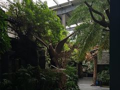 -云境生态园(红谷滩店)