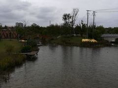 -上海长兴岛郊野公园