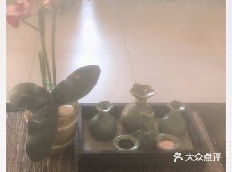 早上凌晨三点起来去海上追海豚 追了4个小时