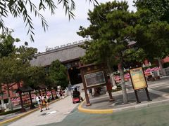 -青岛方特梦幻王国