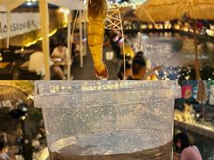 -DGE季风钓虾营地·团建·聚会