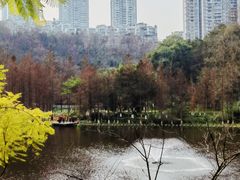 -重庆彩云湖湿地公园