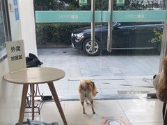 -佳雯宠物医院·皮肤科·内外科(春晓路分院)