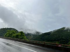 -西双版纳原始森林公园