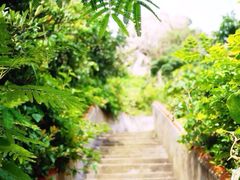 iphone_upload_pic-枸杞岛