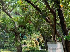 -Chom Cafe and Restaurant