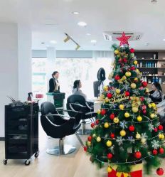 -新晨·SALON·形象造型