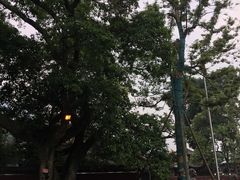 -峨眉山报国寺