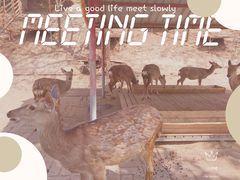 -北京鹿世界主题园