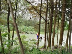 -桤木河湿地公园