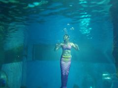 -北戴河圣蓝海洋公园