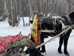 -北极村旅游风景区