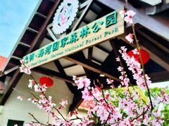 -上海海湾国家森林公园