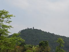 -顺峰山公园