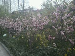 android_upload_pic-兰溪青年公园