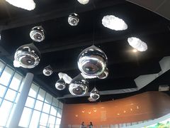 -漩门湾国家湿地公园