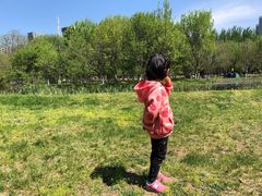 -长白岛森林公园