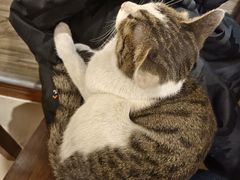 -八一路好吃街(雨田商务大厦店)