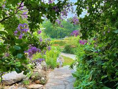 -国家植物园南园