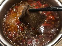 -龙福成肥牛火锅(文昌店)