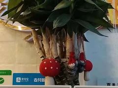 -九秋茶铺(三里屯店)
