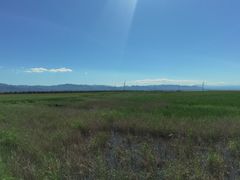 -野鸭湖国家湿地公园