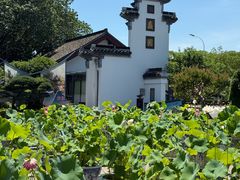 -无锡蠡湖国家湿地公园-蠡园