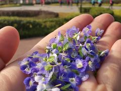 -云漫湖生态度假公园