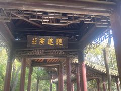 -上海佘山国家森林公园天马山园