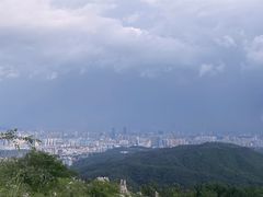-长虫山生态公园风景林