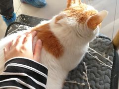 -平行世界·猫咖(首经贸店)