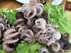 -渔家小院观海海肠捞饭地方菜(环海中路店)