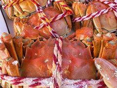 -七的湖·江南蟹舫·阳澄湖农家菜(蟹舫苑店)