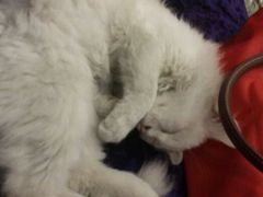 android_upload_pic-Sirena海妖日咖夜酒