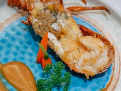 -将军日本餐厅·Shogun(厦门马哥孛罗东方大酒店)