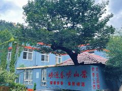 -老张烤羊(王哥庄店)