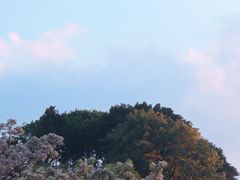 -荔园小馆(园岭新村二期店)