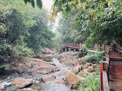 -广州白江湖森林公园