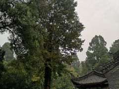 -武侯墓风景区